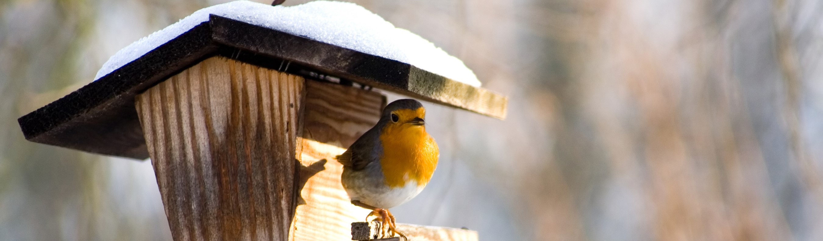 Wichtige Fristen für Ihr Jahresendgeschäft 2024